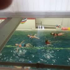 dolfijn zwemschool
