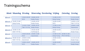 zwemtraining schema