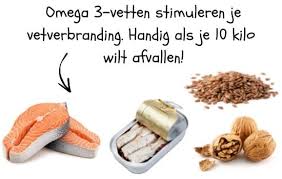 10 kilo afvallen in 6 weken