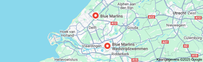 blue marlins wedstrijdzwemmen