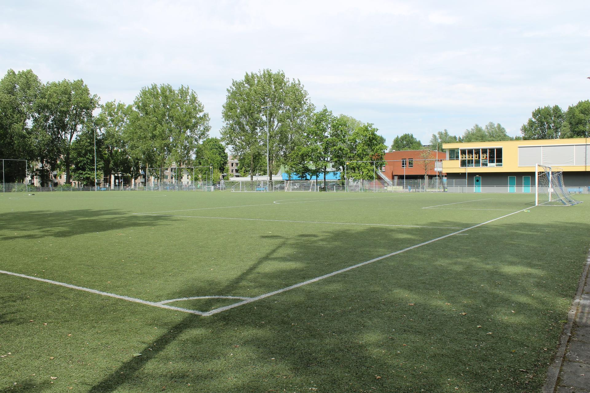 parrel groningen zwemmen