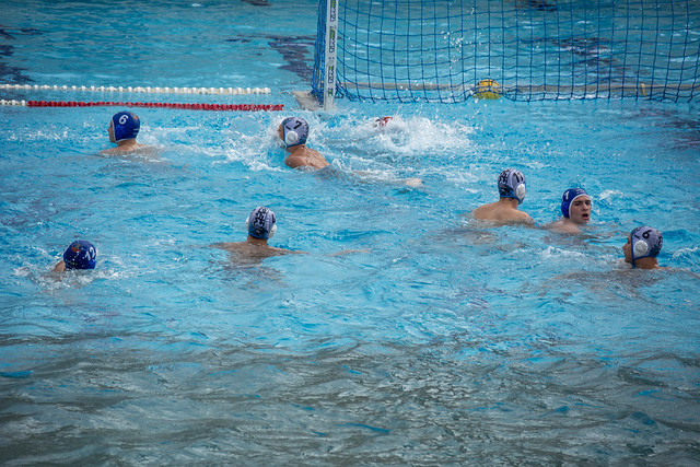 vasas water polo
