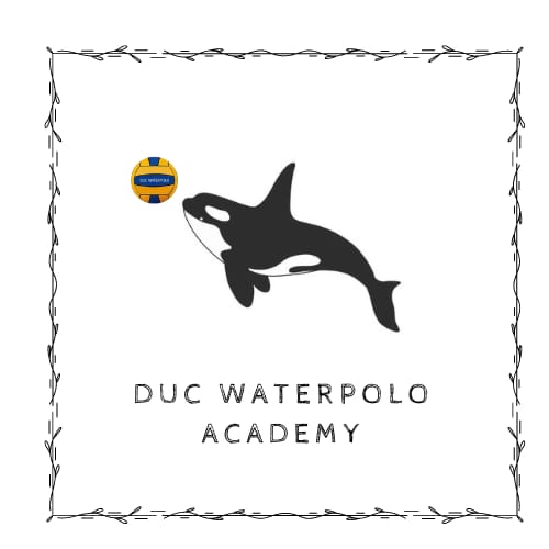 orca waterpolo