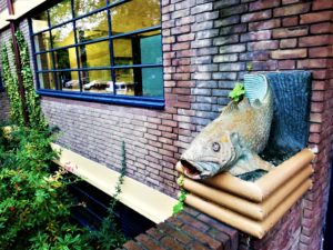 zwemles helperbad groningen