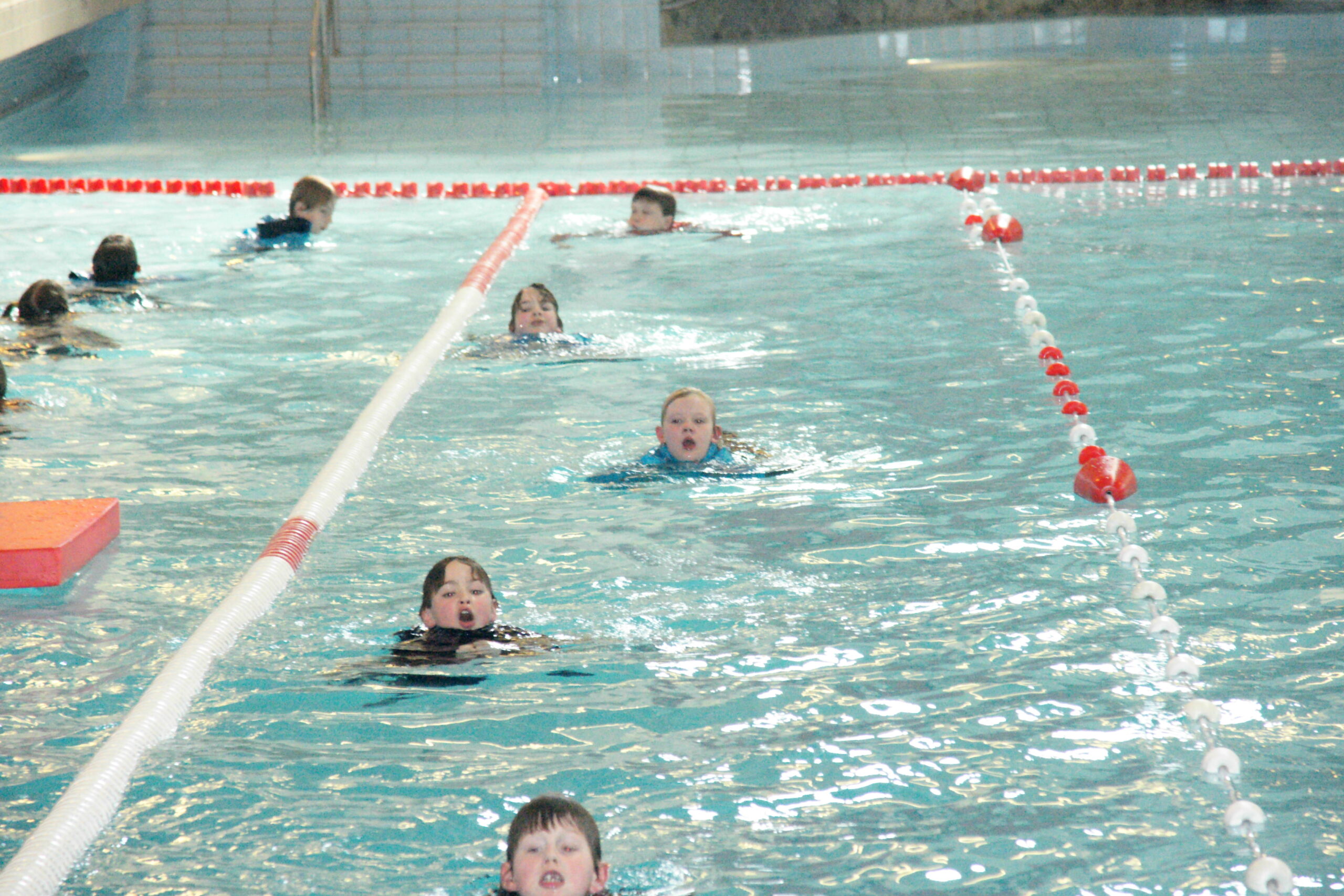 zwemclub de kikkertjes