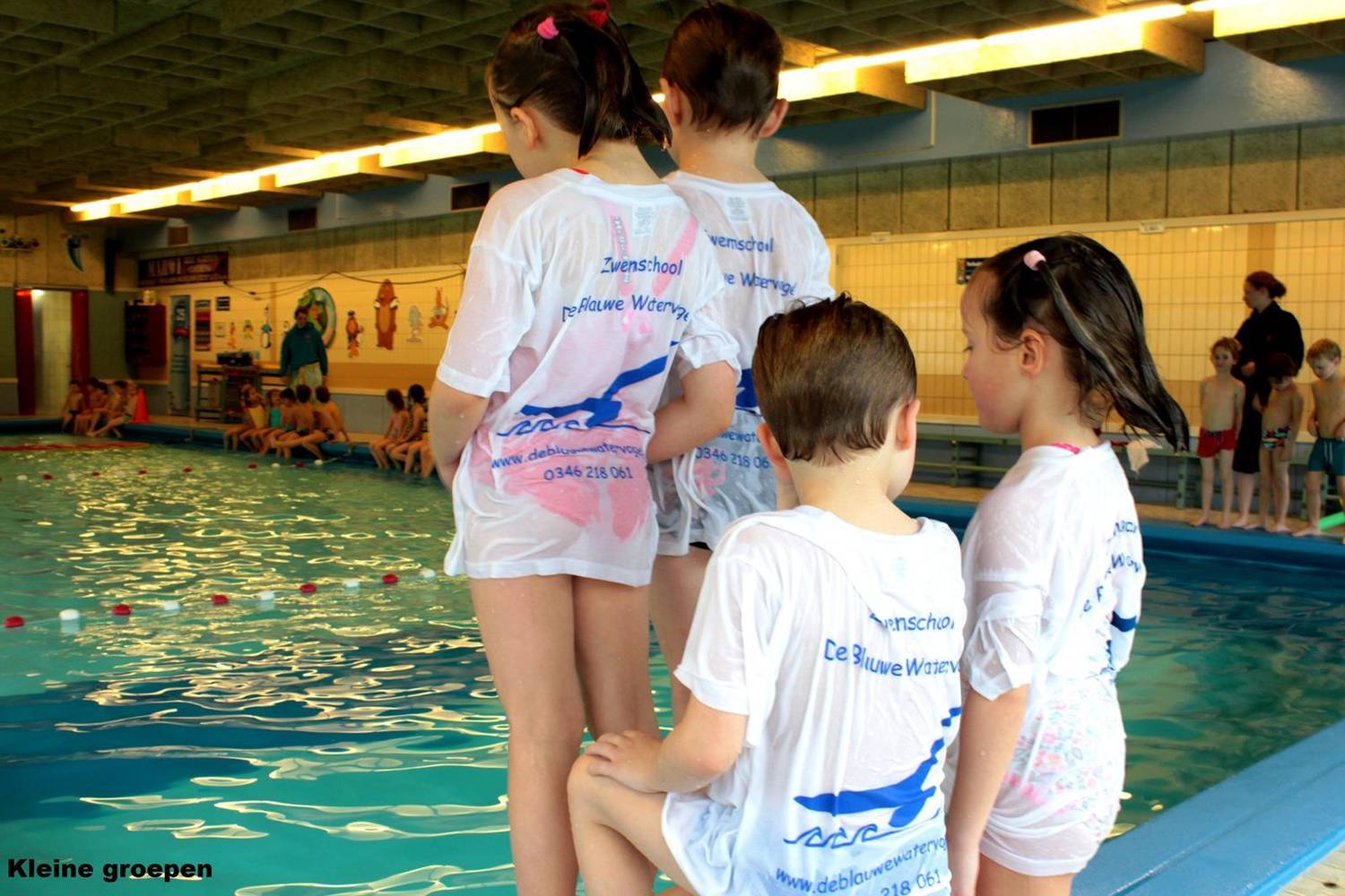 zwemles blauwe watervogel