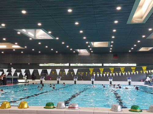 zwembad de kikkersprong