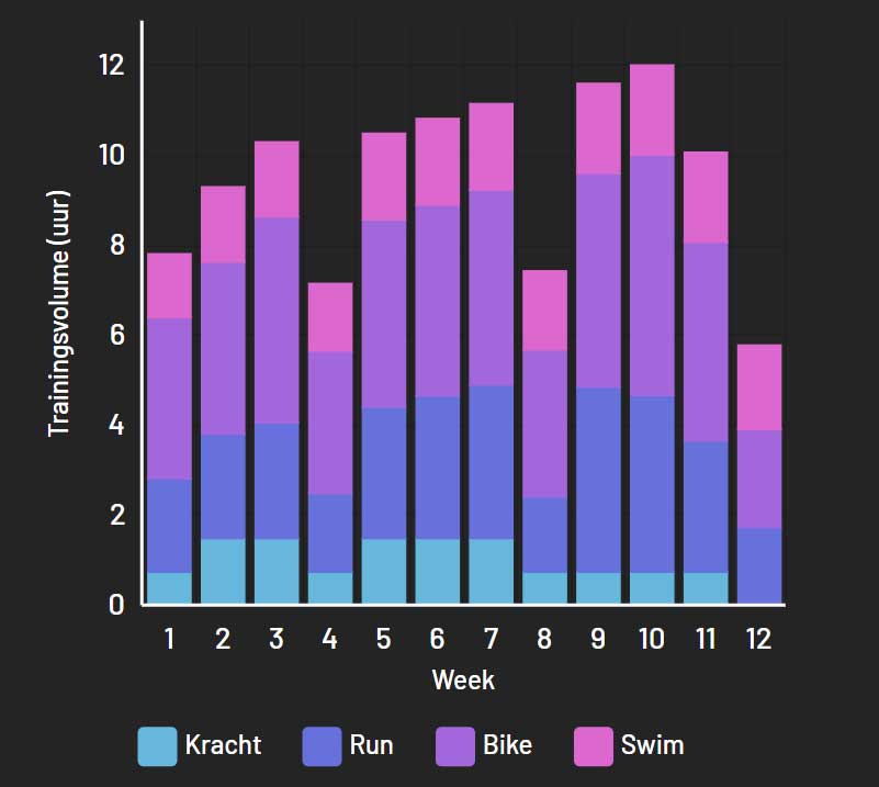 zwemtraining triathlon schema